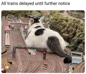 1757030153841.png