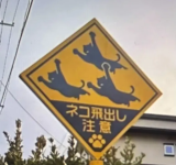 1758060425861.png