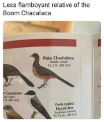 1758581975709.png
