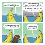 1759272184393.png