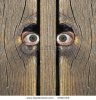peeking.jpg