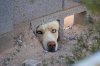 peeking 2.jpg