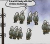 wirelessBirds.jpg