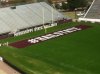 hailstate-535x400.jpg