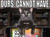 cat.jpg