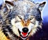 Fractal_Wolf_by_artofpain.jpg