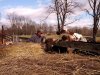 IMG_20120114_121051.jpg