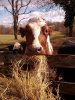 IMG_20120114_121226.jpg