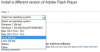 Adobe Flash Player.JPG