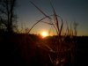 IMG_20120127_170228.jpg