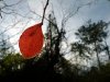 IMG_20120115_151527.jpg