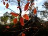 IMG_20120115_154056.jpg