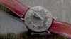 early_fossil.jpg