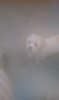 IMAG0011.jpg