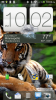 tiger.png