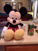 Mickey test 4.0.2 90%.jpg