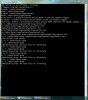 adb shell screen capture.JPG