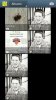 PicsArt_1342725775288.jpg