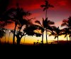 HawaiiPinkSunsetWEB.jpg