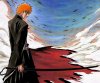 Ichigo.jpg