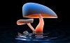 Mushroom.JPG