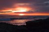CrystalCove11_0031.jpg