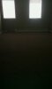 uploadfromtaptalk1354399696105.jpg