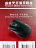 mouse.jpg