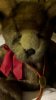 2012-12-08_teddyDX_small.jpg