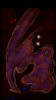 thingy.png