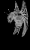 bug.png