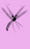 wifebug.png