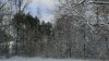 IMAG0356.jpg