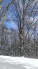 IMAG0358.jpg