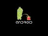 wallpaper.androlib.com.jpg
