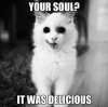 cat-soul.png