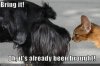 bring it.jpeg