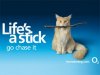 O2-BMD-Stick-Life1.jpg