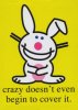 crazy bunny.jpg