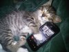 Dreamin of Android.jpg