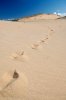 sleeping-bear-sand-dunes.jpg