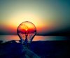 bulb.jpg