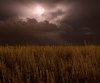 storm.jpg