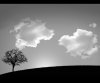 GraySky.jpg