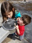 2016-03-12 11.46.51.jpg