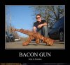 demotivational-posters-bacon-gun.jpg