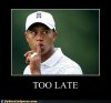 funny-sports-pictures-tiger-woods-too-late.jpg