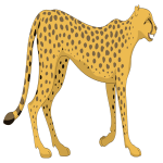 cheetah_small.png
