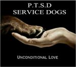 PTSD Service Dogs.jpg