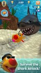 Shark.jpeg Shark.jpeg